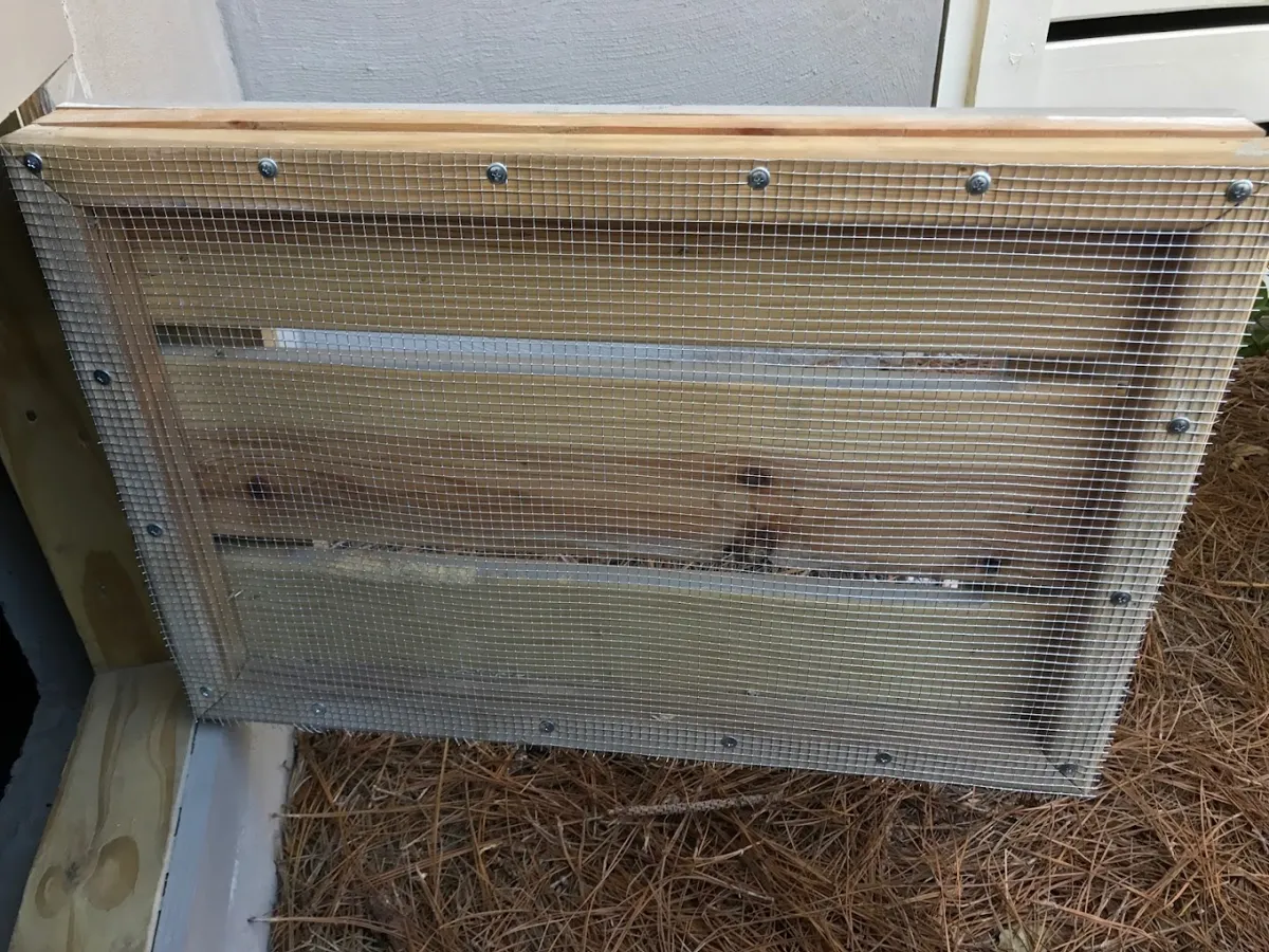 Low Country Pest Specialists
