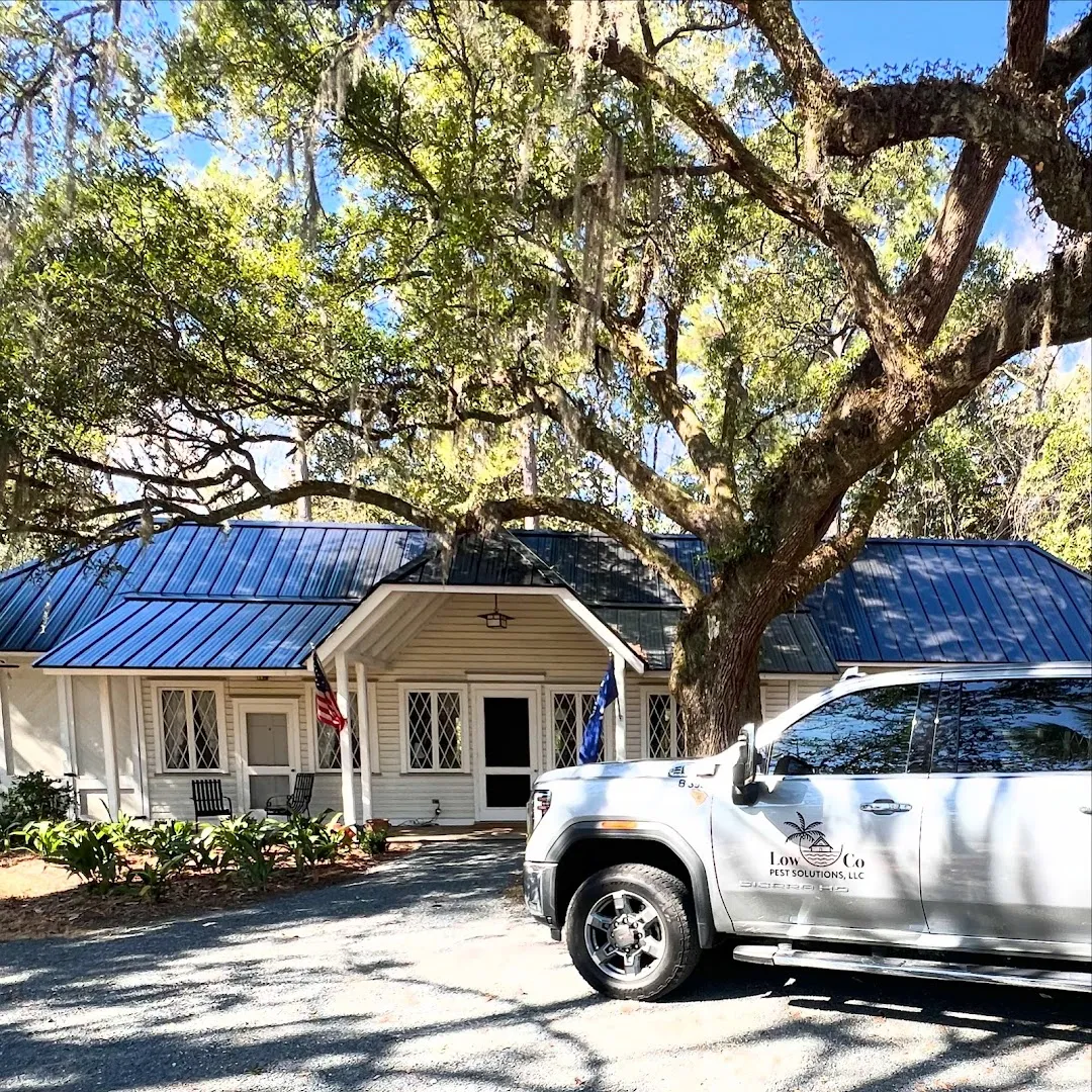 LowCo Pest Solutions