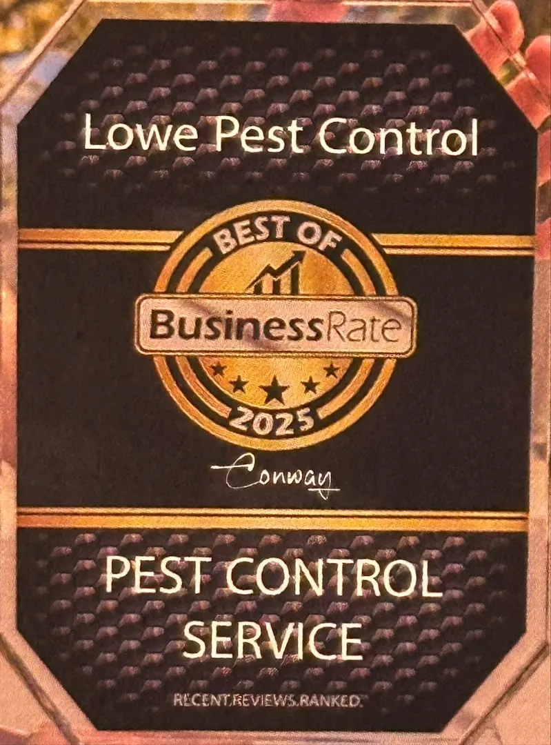 Lowe Pest Control