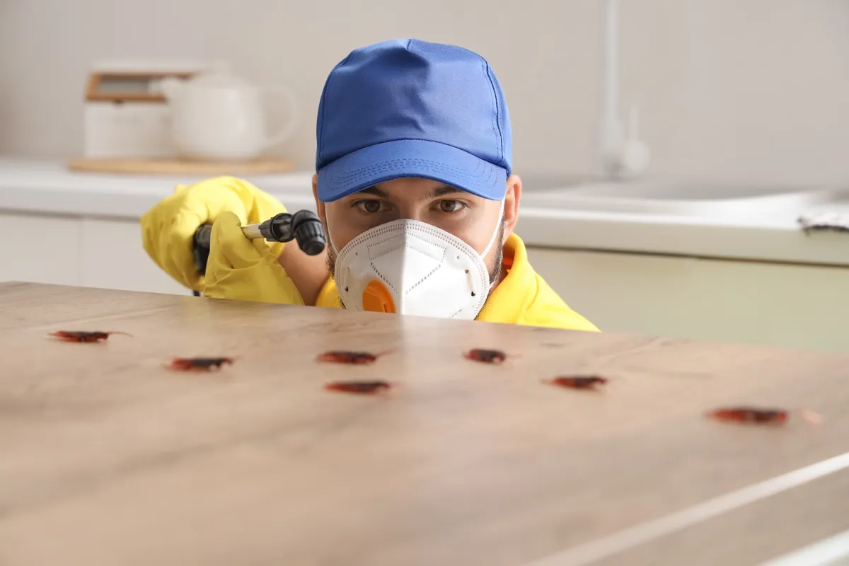 MAC Pest Management