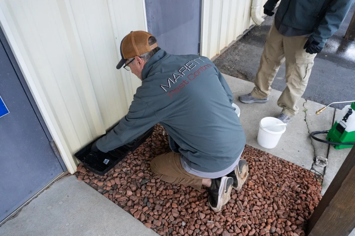Marett Pest Control
