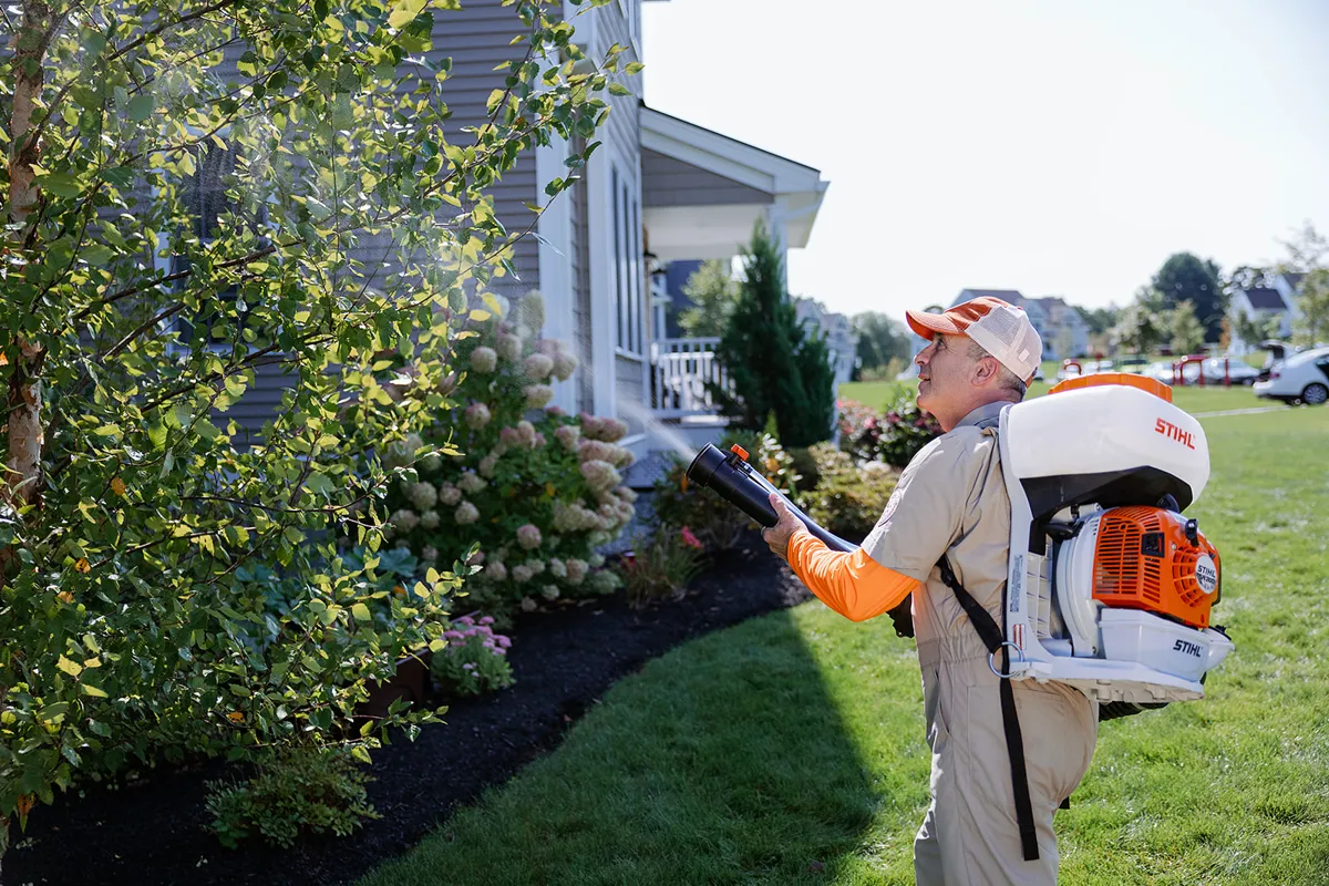 Mosquito Hunters of Hilton Head