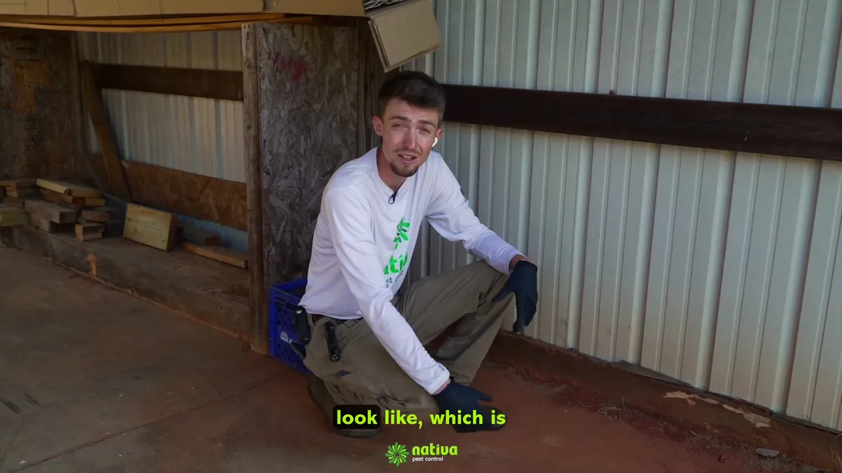 Nativa Pest Control