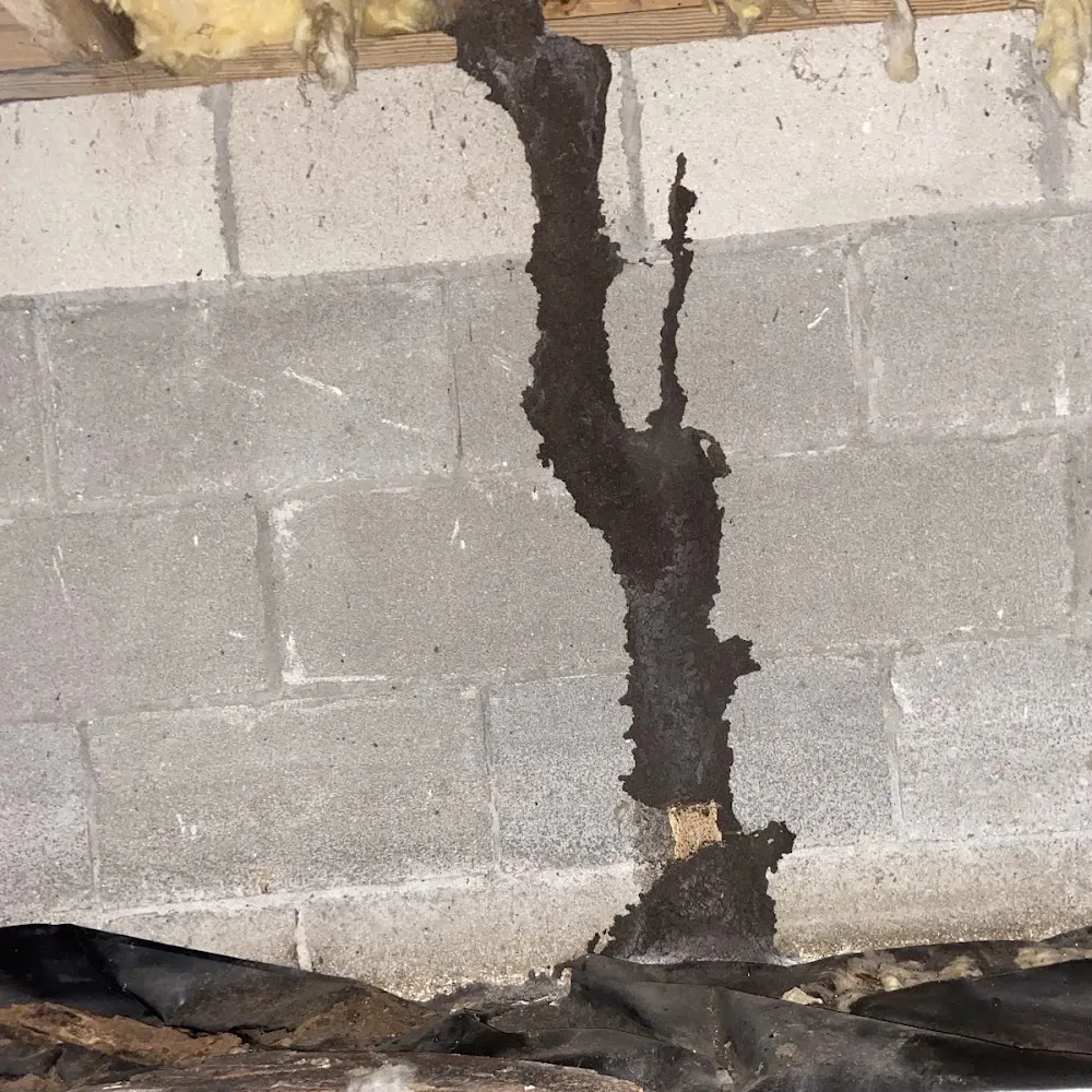 Omega Pest Solutions, LLC.