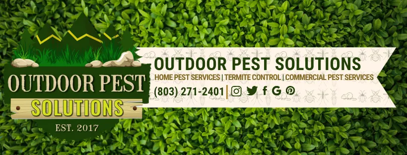 Outdoor Pest Control Solutions