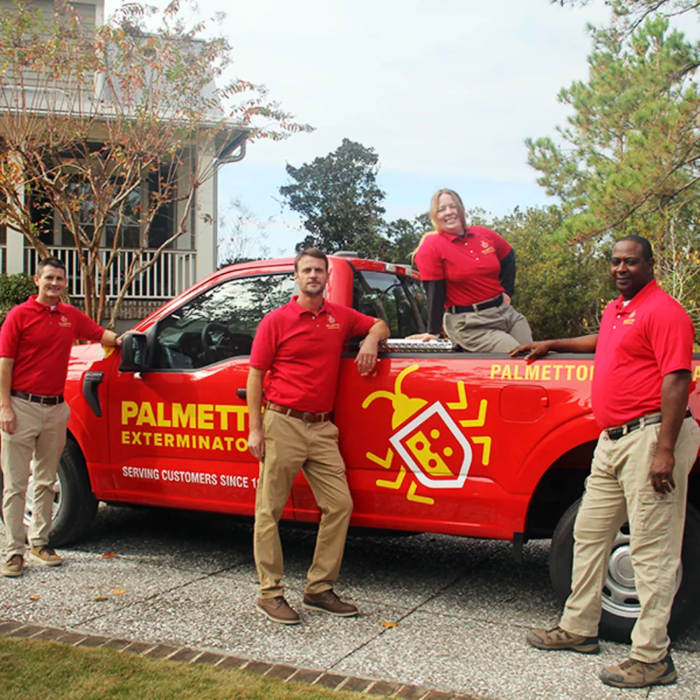 Palmetto Exterminators