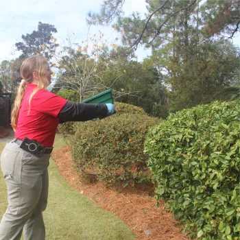 Palmetto Exterminators