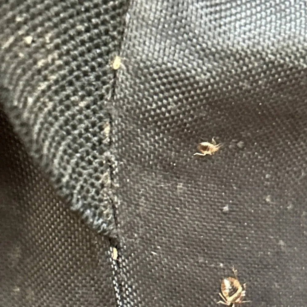 Phoenix Pest Solutions, LLC
