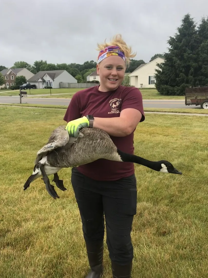 Precision Pest and Wildlife Removal of Anderson County