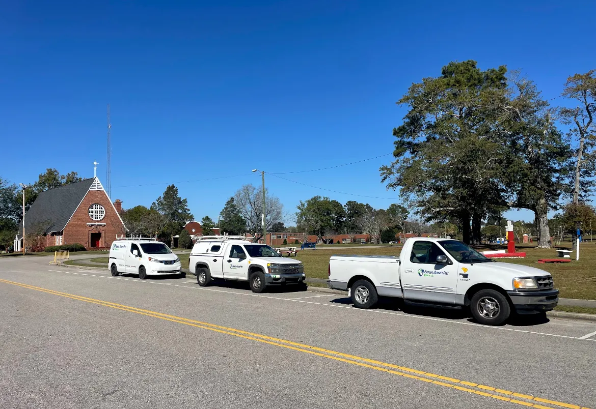 Premier Advance Pest Services