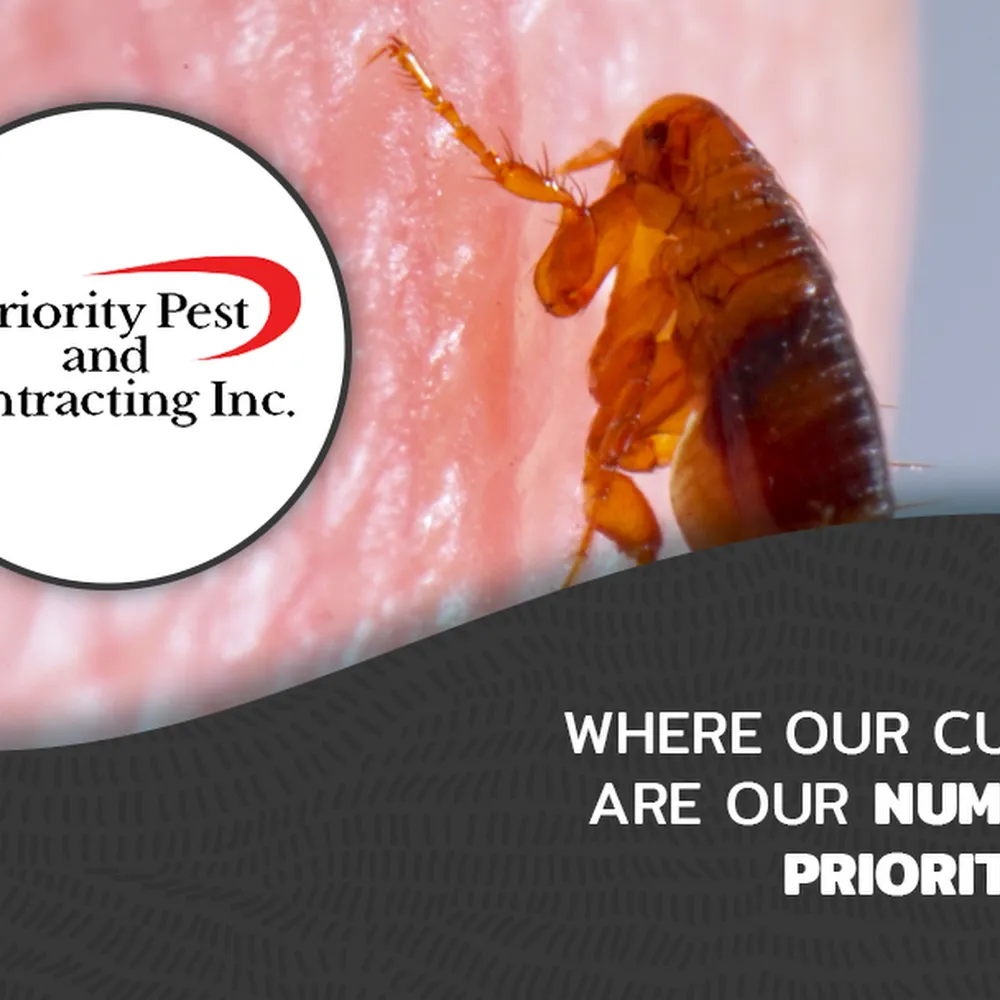 Priority Pest & Contracting, Inc
