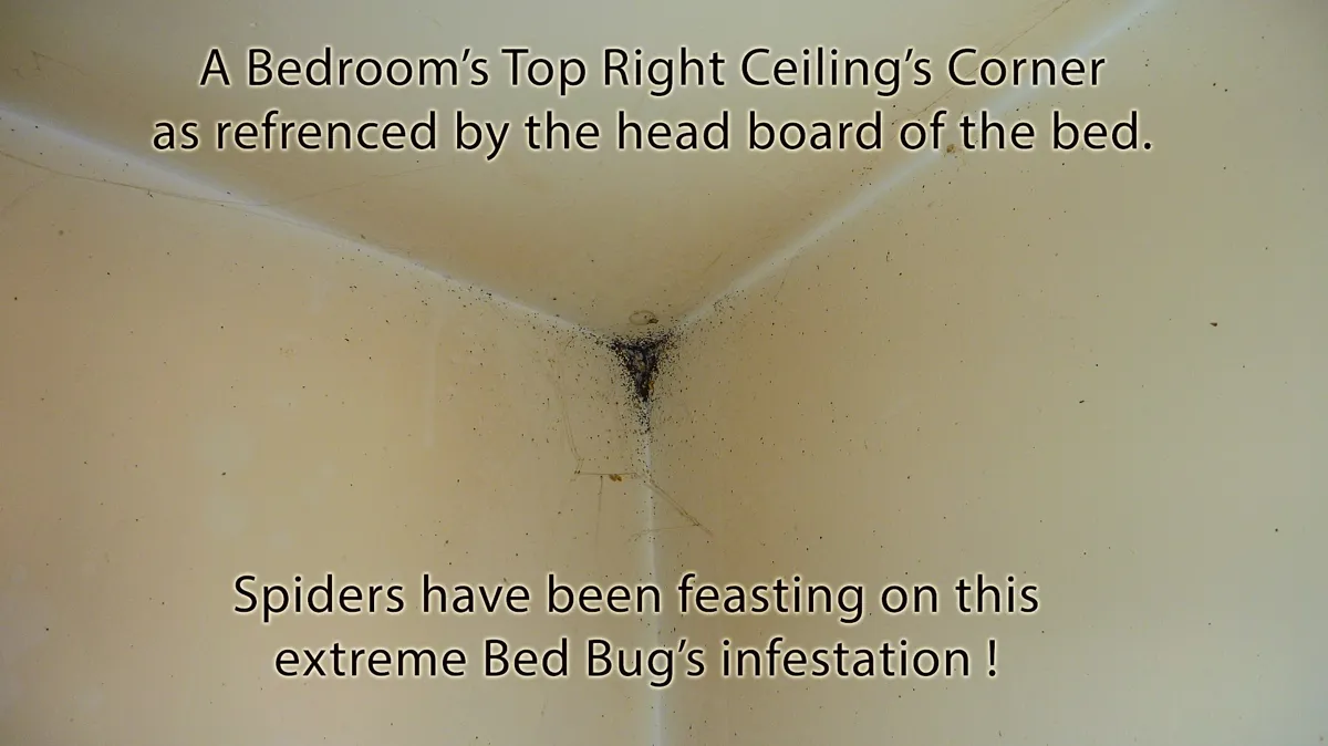 Professional Pest Control Serv"s LLC
