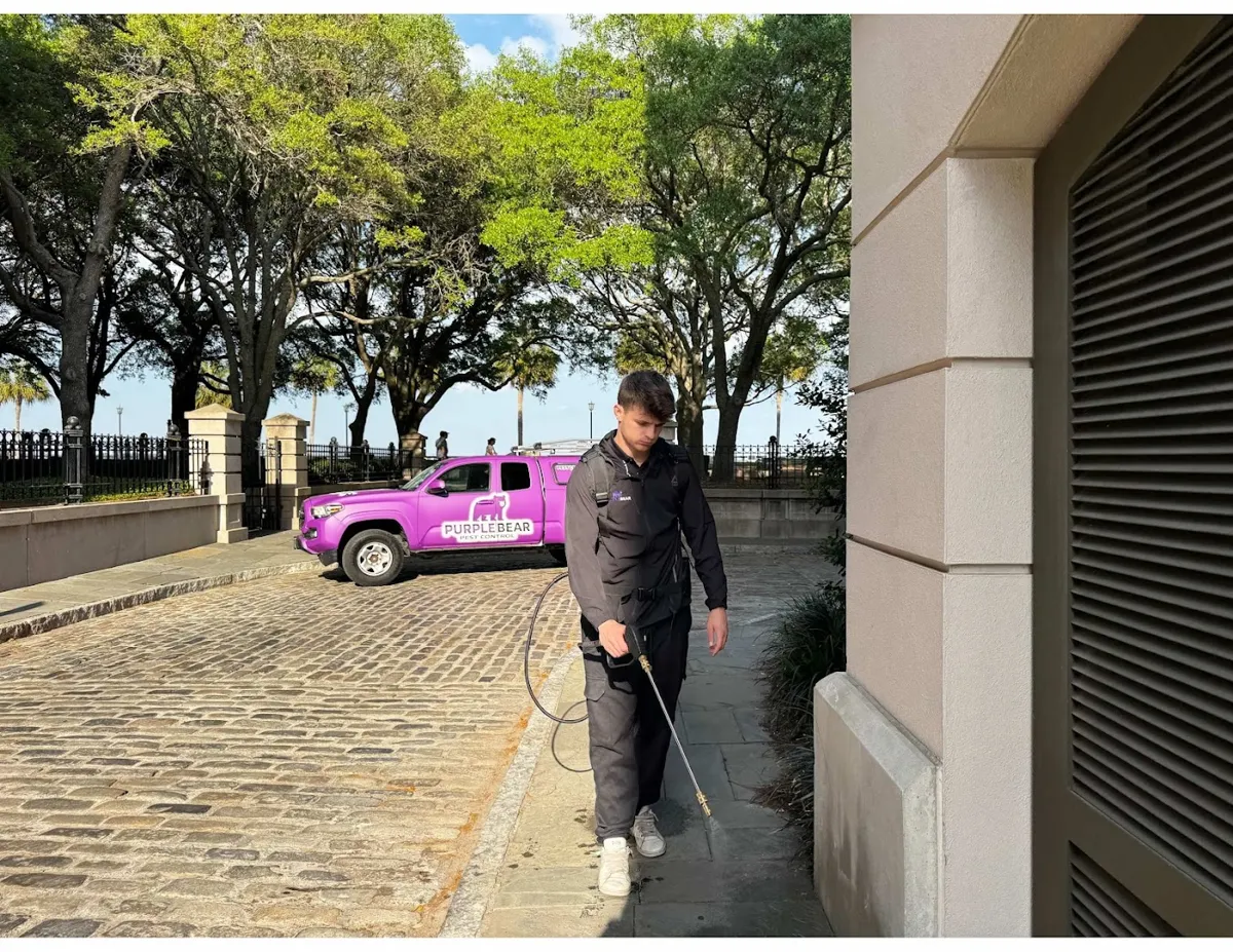 Purple Bear Pest Control