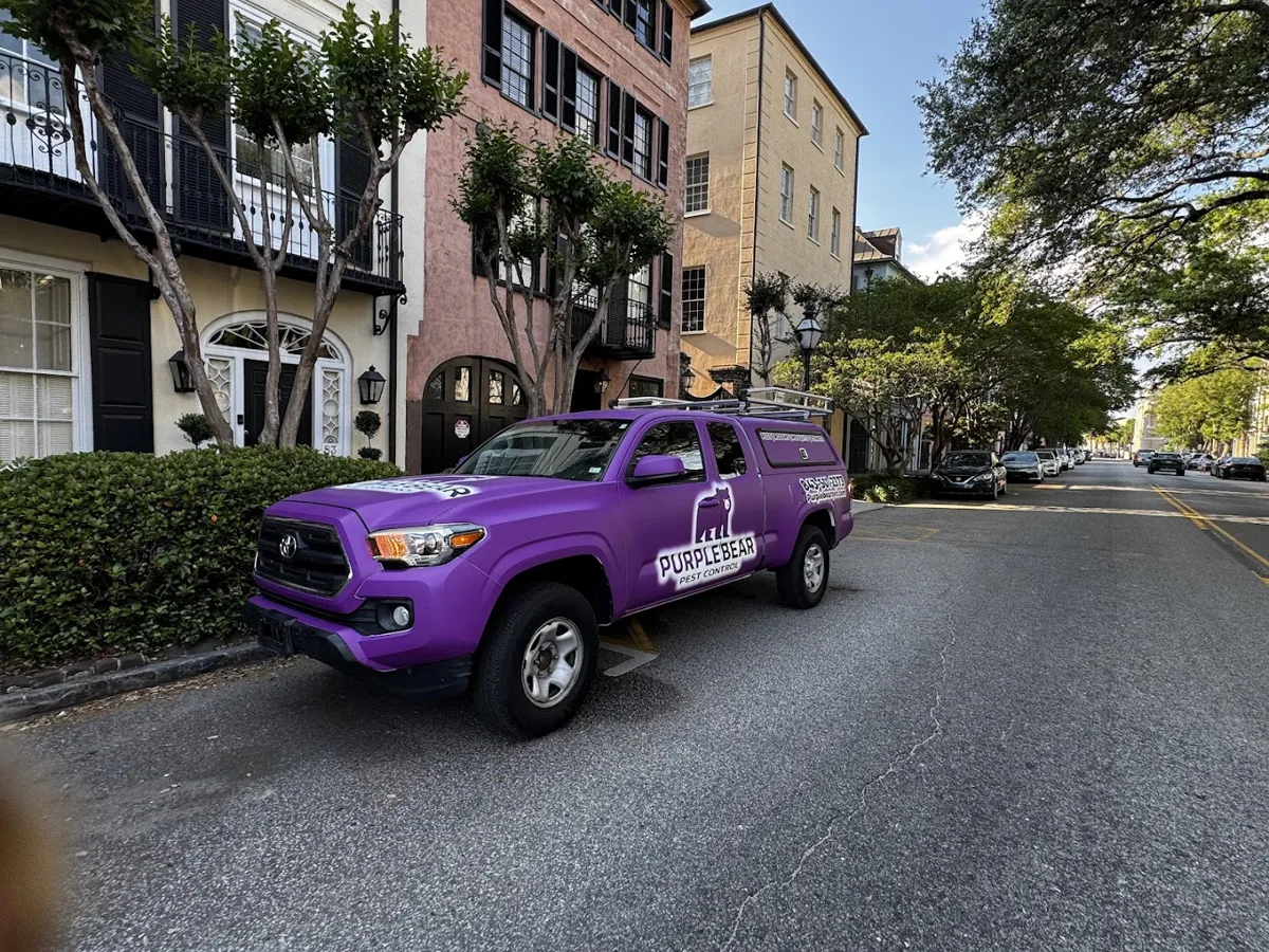 Purple Bear Pest Control