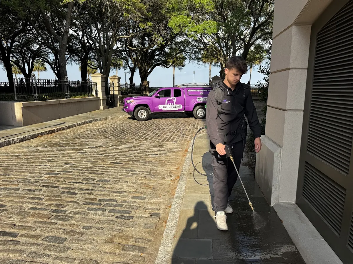 Purple Bear Pest Control