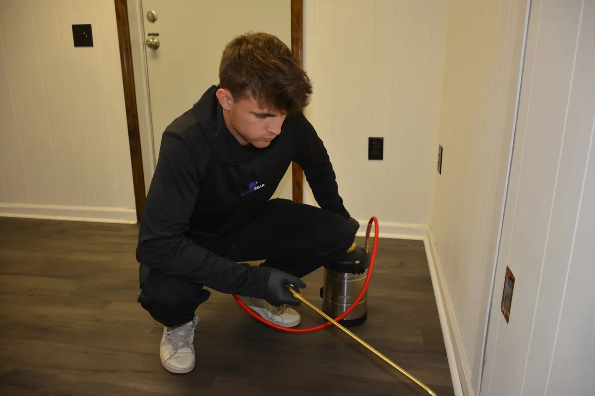 Purple Bear Pest Control