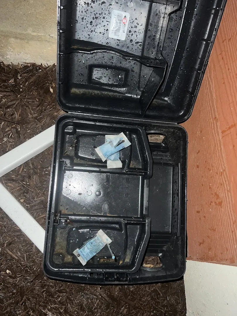 Gregory Pest Solutions