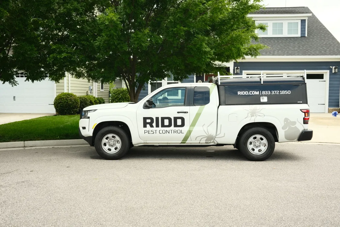 RIDD Pest Control