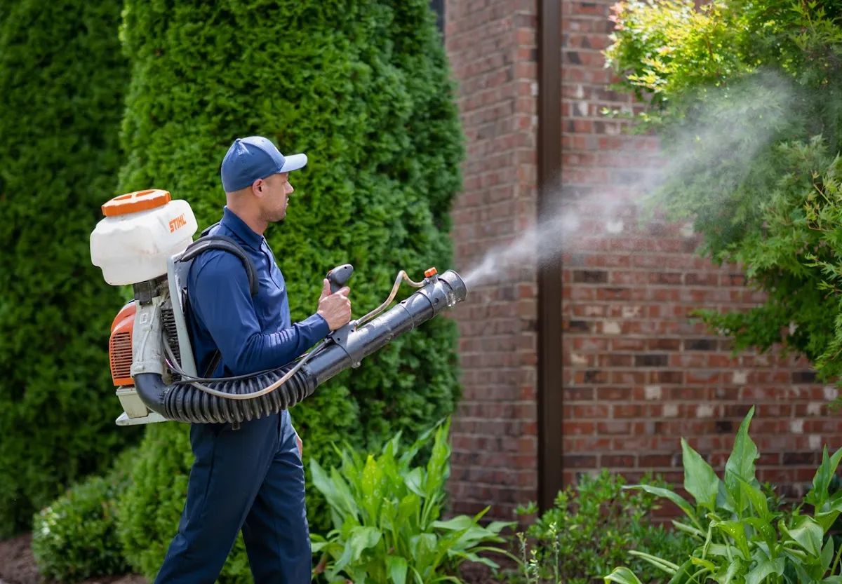 Rocket Pest Control