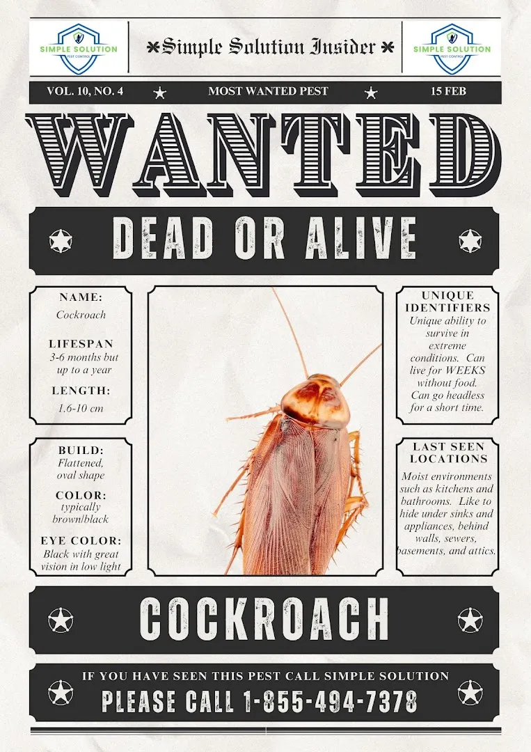 Simple Solution Pest Control