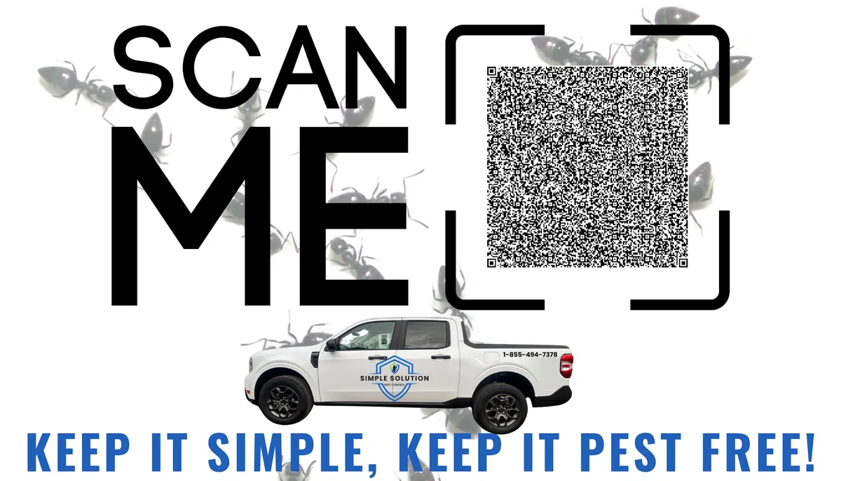 Simple Solution Pest Control
