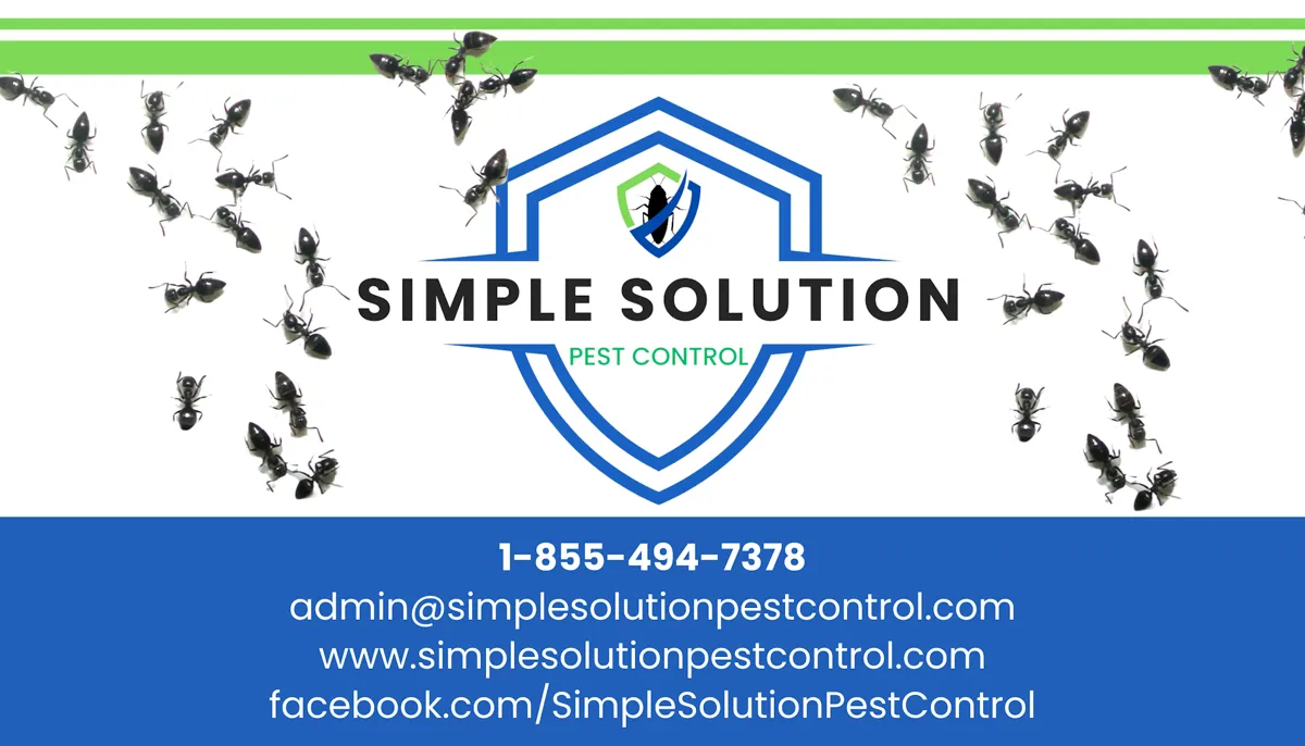 Simple Solution Pest Control