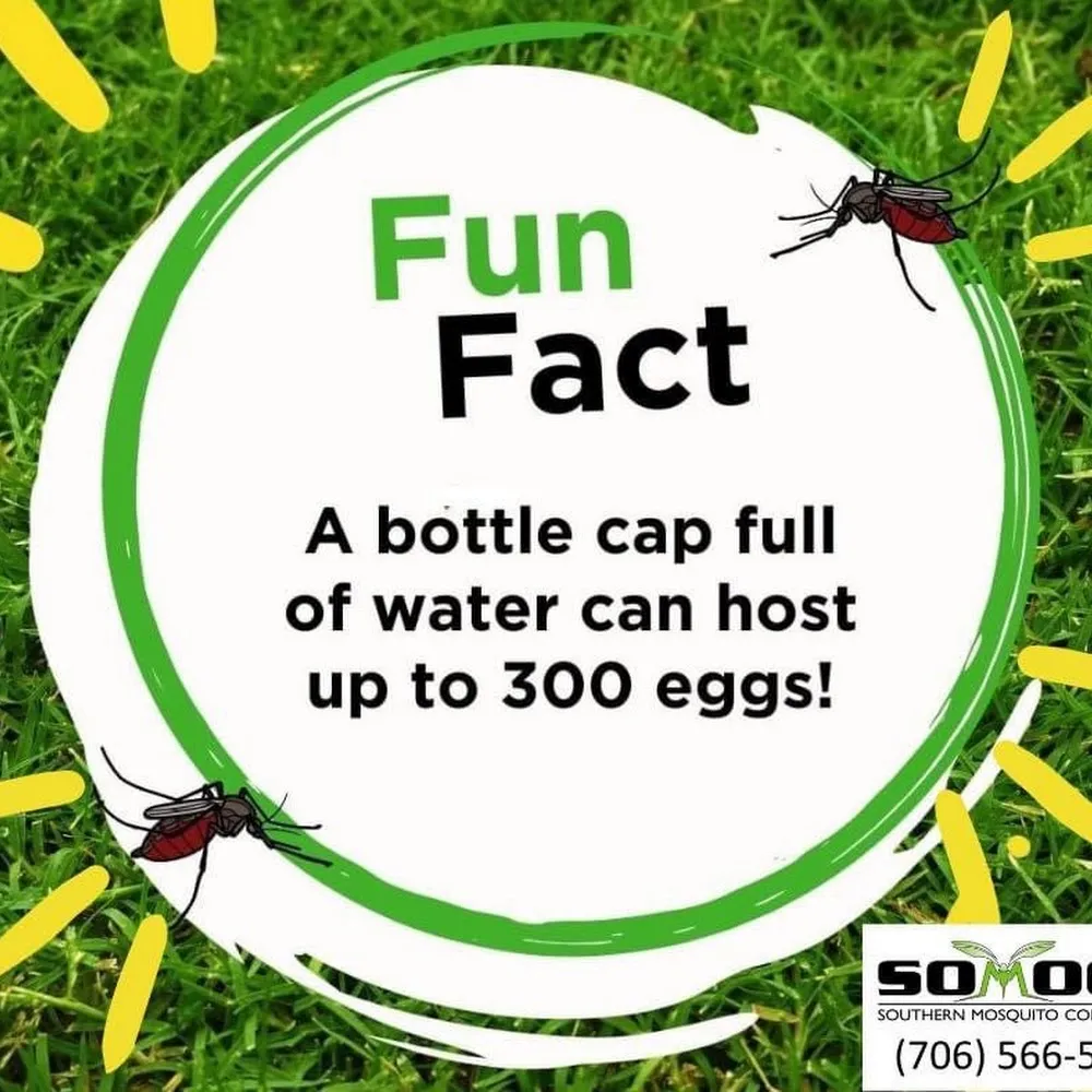 Southern Mosquito Control