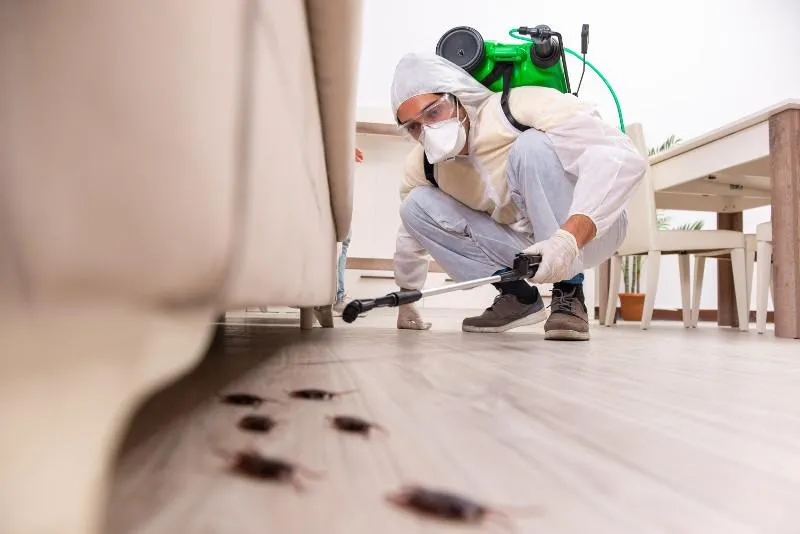 Superior Pest Solutions