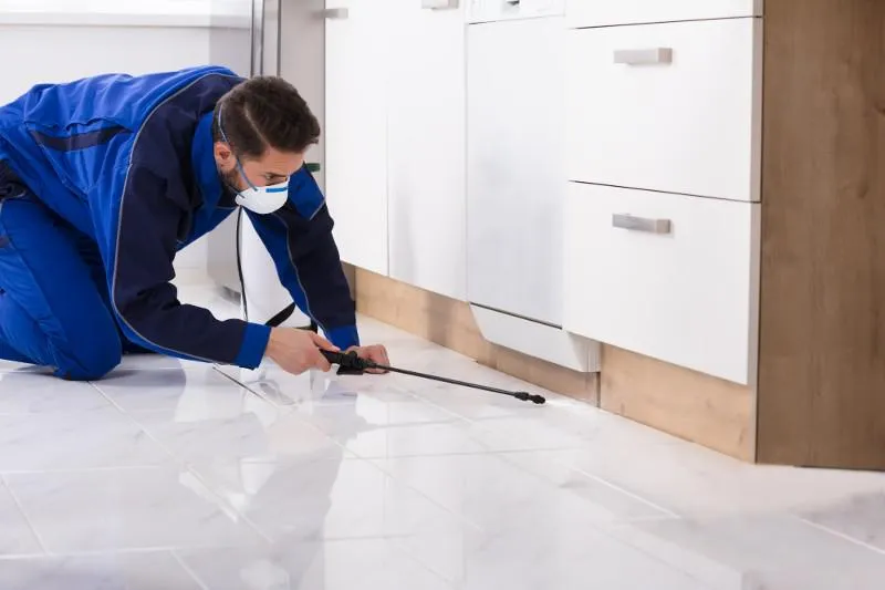 Superior Pest Solutions
