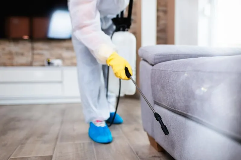 Superior Pest Solutions