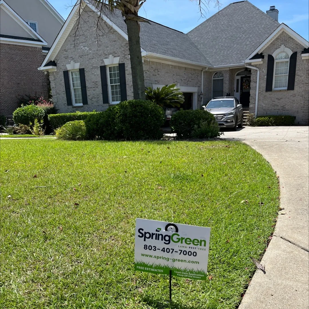 Spring Green