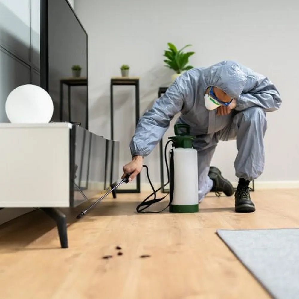 Superior Pest Solutions