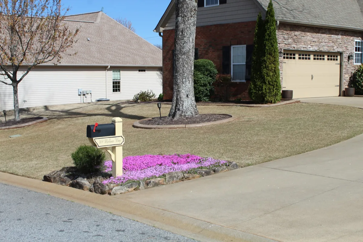 Easy Lawn Care