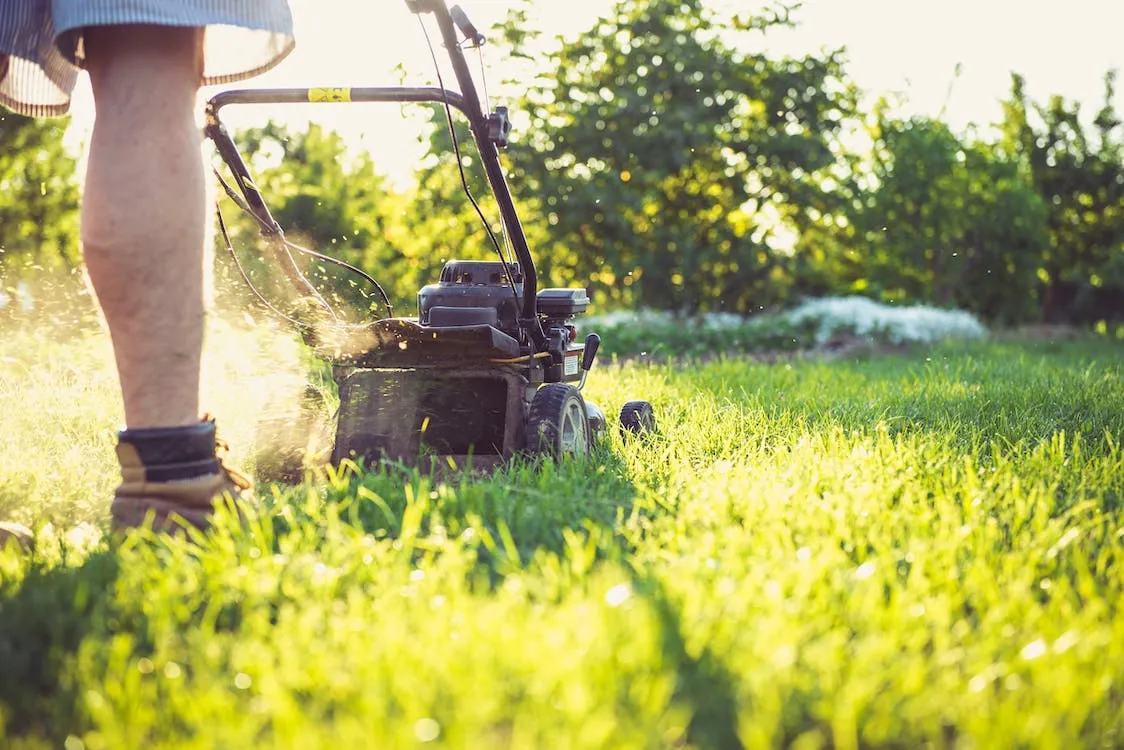 Easy Lawn Care