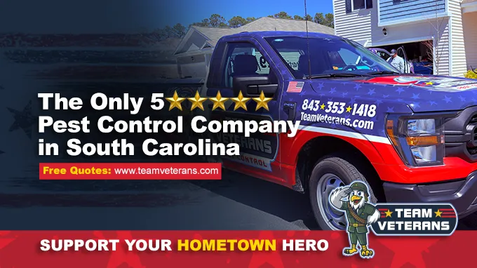 Team Veterans Pest Control