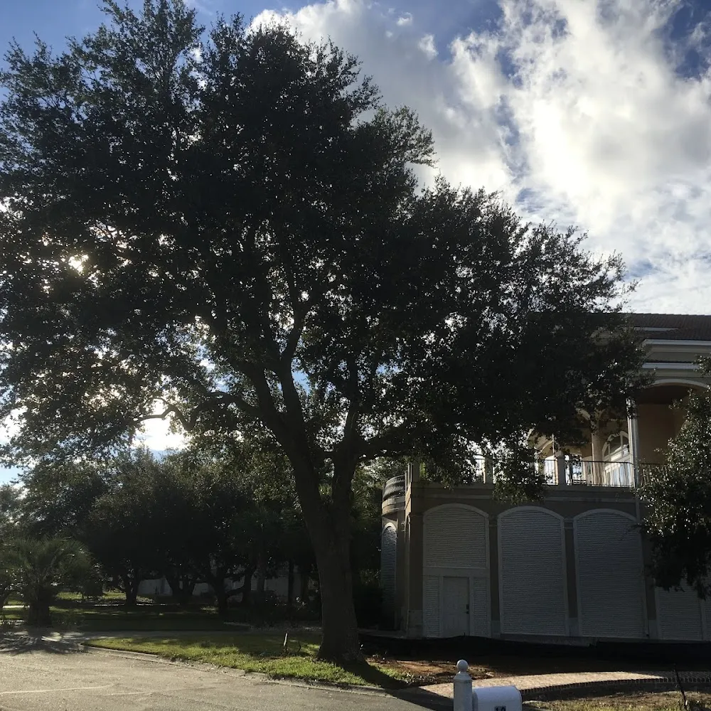 Total Tree Care, Inc.