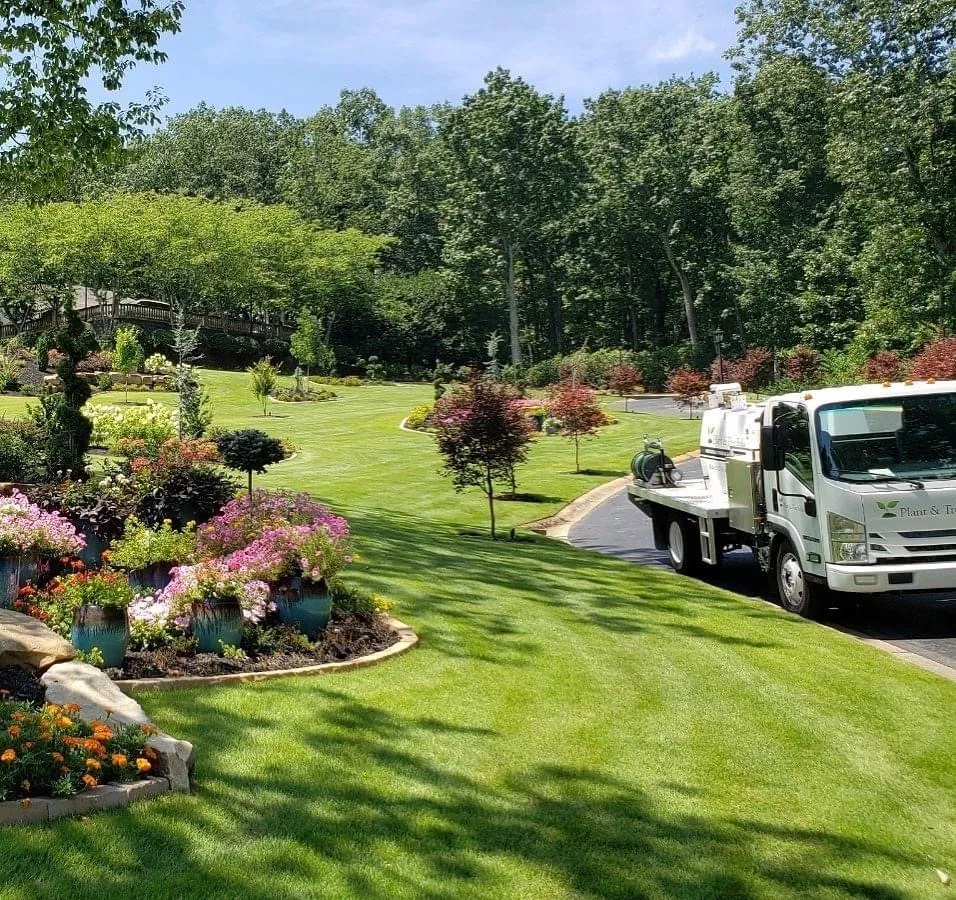 Plant and Tree Solutions LLC
