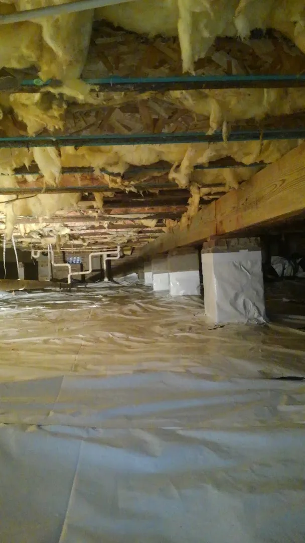 Upstate Pest Solutions