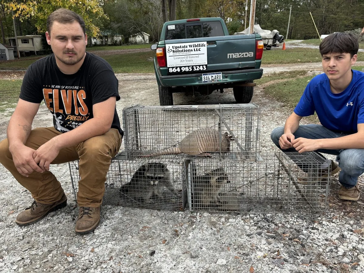 Upstate Wildlife Solutions LLC