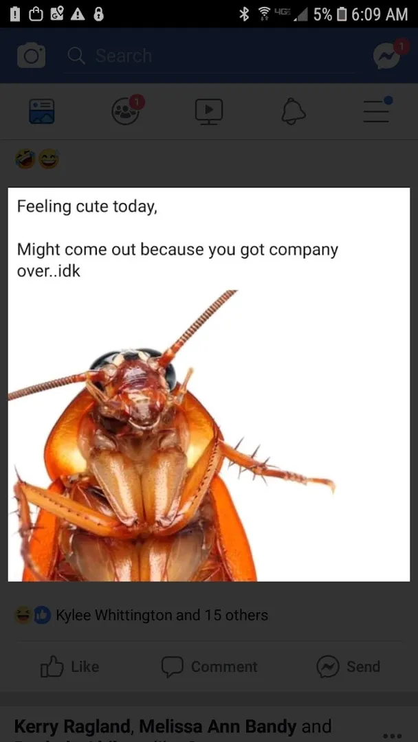 Victory Pest Control