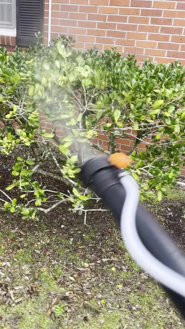 Winyah Pest Solutions, LLC